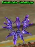 Elementaire romantique.jpg