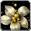 Icon elite dru ecl 50.png
