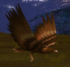 Mob Aigle du vent.jpg