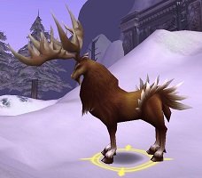 Mob Akéli, le sage.jpg