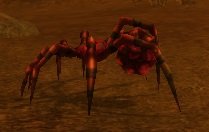 Mob Arachneskor des terriers.jpg