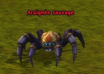 Mob Araignée sauvage.jpg