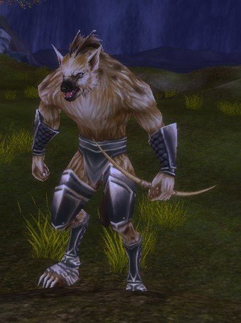 Mob Archer Crin sauvage.jpg