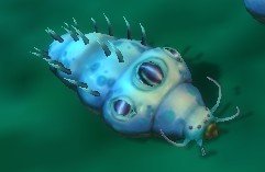 Mob Asticot aquatique de la petite cave.jpg