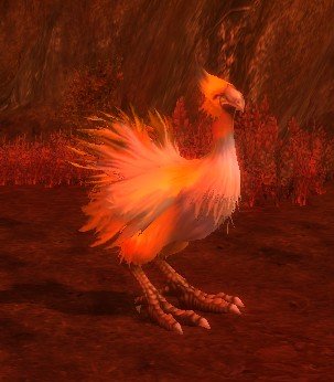 Mob Autruche apeurée.jpg