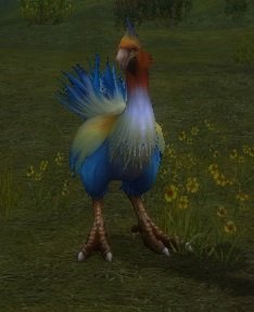 Mob Autruche colorée.jpg