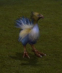 Mob Jeune autruche.jpg