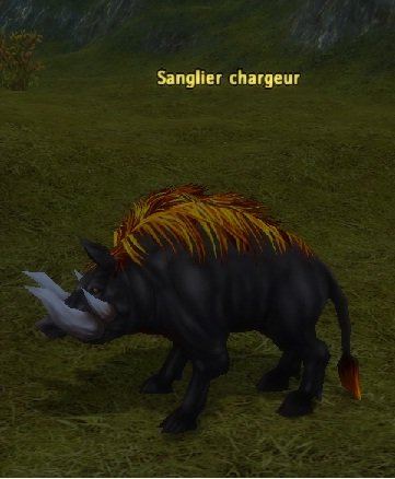 Mob Sanglier chargeur.jpg