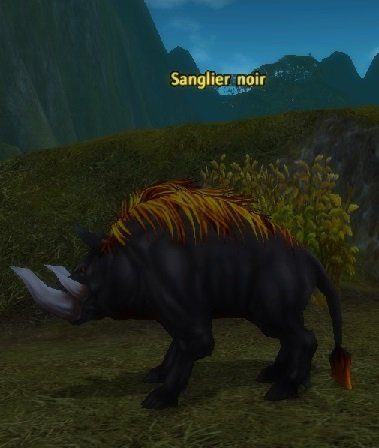 Mob Sanglier noir.jpg